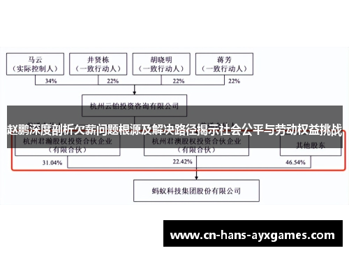 赵鹏深度剖析欠薪问题根源及解决路径揭示社会公平与劳动权益挑战