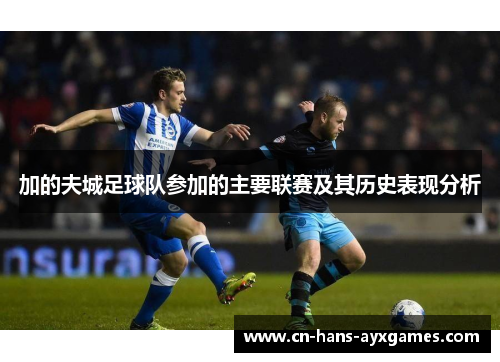 加的夫城足球队参加的主要联赛及其历史表现分析