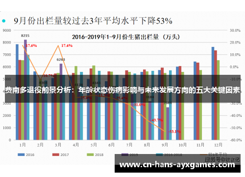 费南多退役前景分析：年龄状态伤病影响与未来发展方向的五大关键因素