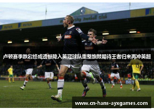 卢顿赛季跌宕终成遗憾降入英冠球队重整旗鼓期待王者归来再冲英超 卢顿赛季跌宕终成遗憾降入英冠球队重整旗鼓期待王者归来再冲英超